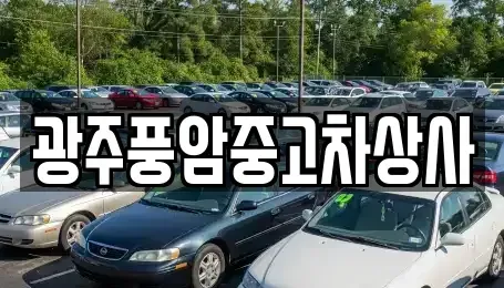 광주광역시 광산구 광산동 중고차 전문 광주풍암중고차상사