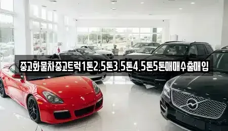 광주광역시 광산구 광산동 렌트카,단기렌트카,장기렌트카,중고차,중고차매매,중고차매입