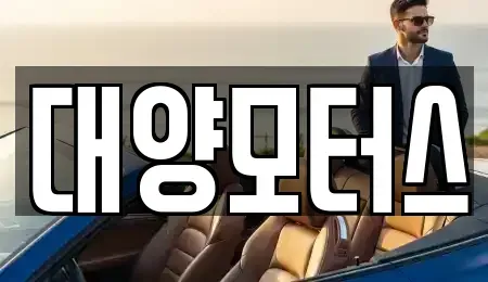광주광역시 광산구 양산동 중고차매매 전문 대양모터스
