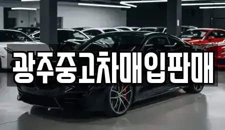 광주광역시 광산구 옥동 중고차매매 전문 광주중고차매입판매