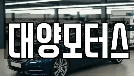 광주광역시 광산구 우산동 중고차 전문 대양모터스