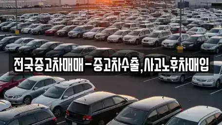 광주광역시 광산구 우산동 중고차 전문 전국중고차매매-중고차수출,사고노후차매입