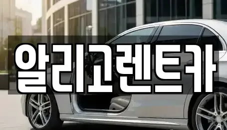 광주광역시 남구 단기렌트카 전문 알리고렌트카