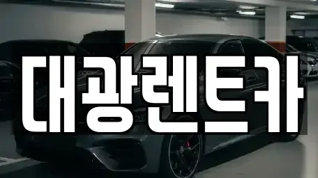 광주광역시 남구 장기렌트카 전문 대광렌트카