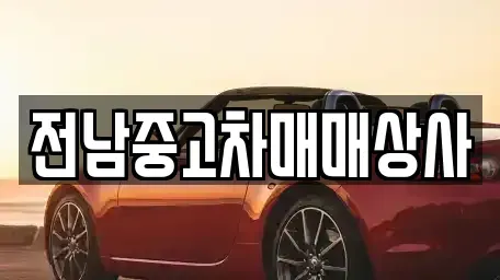 광주광역시 남구 중고차 전문 전남중고차매매상사