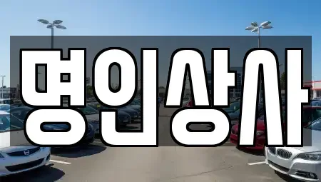 광주광역시 동구 수기동 중고차 전문 명인상사