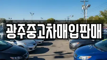 광주광역시 동구 수기동 중고차매입 전문 광주중고차매입판매