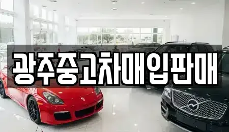 광주광역시 동구 호남동 중고차매입 전문 광주중고차매입판매
