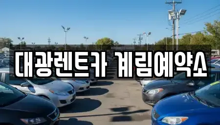 광주광역시 북구 북동 장기렌트카 전문 대광렌트카 계림예약소