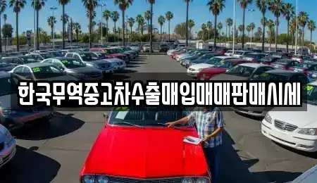 광주광역시 북구 북동 중고차매매 전문 한국무역중고차수출매입매매판매시세
