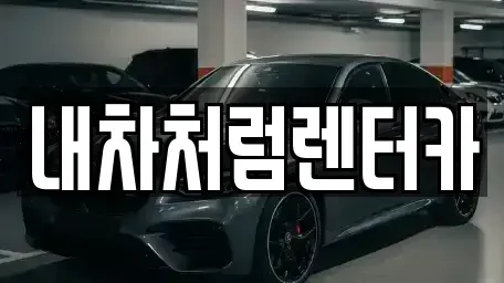 대구 동구 금강동 렌트카 전문 내차처럼렌터카