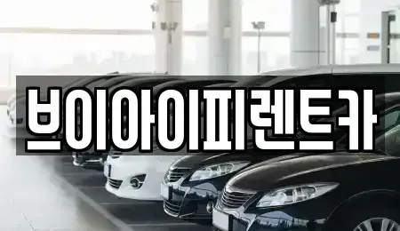 대구 동구 금강동 렌트카 전문 브이아이피렌트카