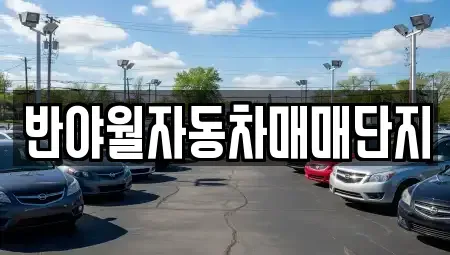 대구 동구 금강동 중고차 전문 반야월자동차매매단지