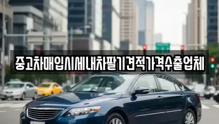 대구 동구 금강동 중고차매입 전문 중고차매입시세내차팔기견적가격수출업체