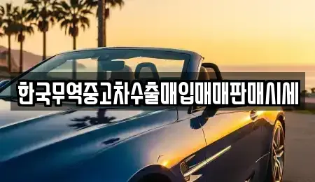 대구 동구 금강동 중고차매입 전문 한국무역중고차수출매입매매판매시세