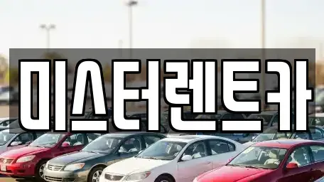 대구 북구 동변동 렌트카 전문 미스터렌트카