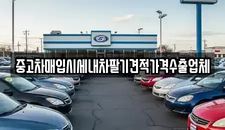 대구 북구 동변동 중고차매입 전문 중고차매입시세내차팔기견적가격수출업체