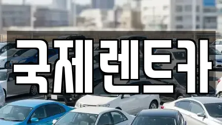 대구 수성구 범물동 렌트카 전문 국제렌트카