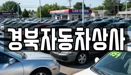 대구 수성구 범물동 중고차 전문 경북자동차상사