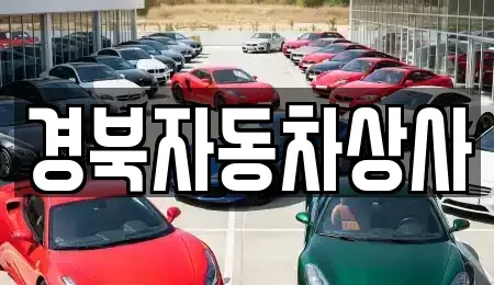 대구 수성구 수성동3가 중고차 전문 경북자동차상사