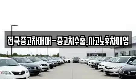 대구 수성구 수성동3가 중고차 전문 전국중고차매매-중고차수출,사고노후차매입
