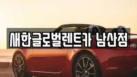 대구 중구 계산동2가 단기렌트카 전문 새한글로벌렌트카 남산점