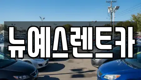 대구 중구 계산동2가 렌트카 전문 뉴예스렌트카