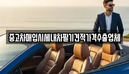 대구 중구 계산동2가 중고차매매 전문 중고차매입시세내차팔기견적가격수출업체