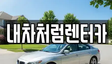 대구 중구 동일동 렌트카 전문 내차처럼렌터카