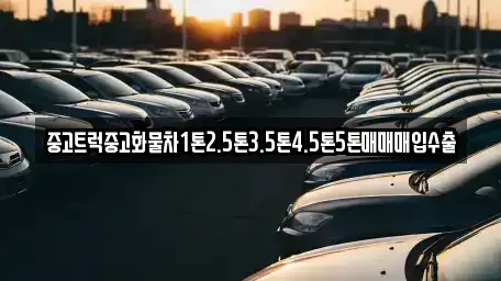 대구 중구 동일동 중고차 전문 중고트럭중고화물차1톤2.5톤3.5톤4.5톤5톤매매매입수출