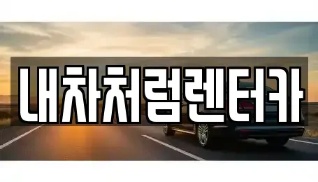 대구 중구 삼덕동1가 렌트카 전문 내차처럼렌터카