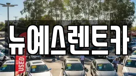 대구 중구 삼덕동1가 렌트카 전문 뉴예스렌트카