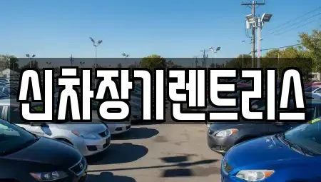 대구 중구 삼덕동1가 렌트카 전문 신차장기렌트리스