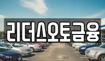 대구 중구 삼덕동1가 장기렌트카 전문 리더스오토금융