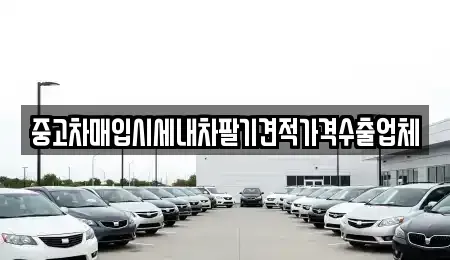 대구 중구 삼덕동1가 중고차매입 전문 중고차매입시세내차팔기견적가격수출업체