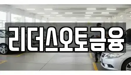 대구 중구 수창동 렌트카 전문 리더스오토금융