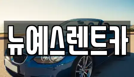 대구 중구 태평로3가 렌트카 전문 뉴예스렌트카
