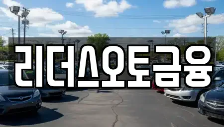 대구 중구 태평로3가 장기렌트카 전문 리더스오토금융