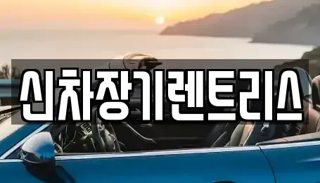 대구 중구 태평로3가 장기렌트카 전문 신차장기렌트리스