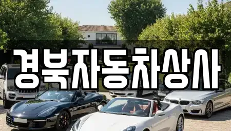 대구 중구 태평로3가 중고차매매 전문 경북자동차상사