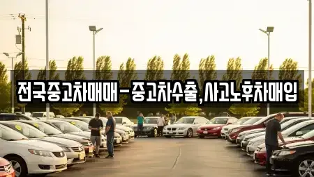 대구 중구 태평로3가 중고차매매,단기렌트카,중고차매입,장기렌트카,중고차,렌트카