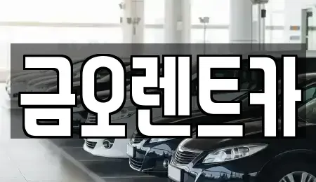 대구 중구 향촌동 렌트카 전문 금오렌트카