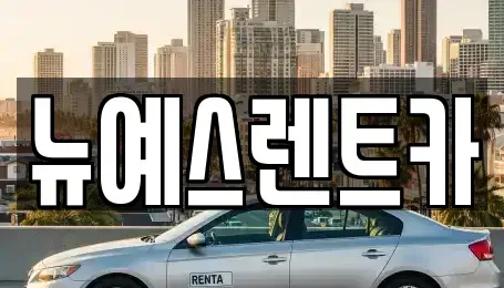 대구 중구 향촌동 렌트카 전문 뉴예스렌트카