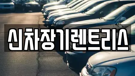 대구 중구 향촌동 렌트카 전문 신차장기렌트리스