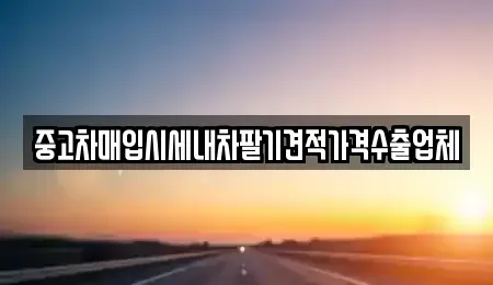 대구 중구 향촌동 중고차 전문 중고차매입시세내차팔기견적가격수출업체