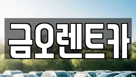 대구광역시 남구 대명동 렌트카 전문 금오렌트카