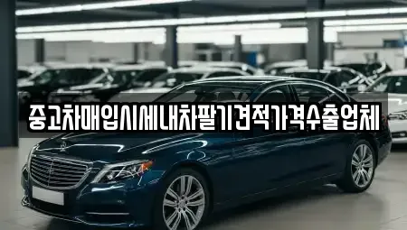 대구광역시 남구 대명동 중고차 전문 중고차매입시세내차팔기견적가격수출업체