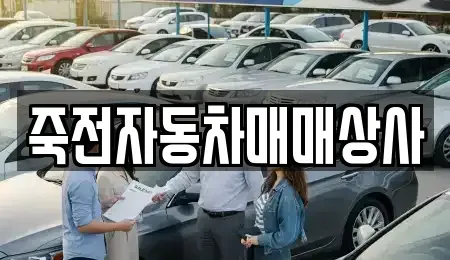 대구광역시 달서구 감삼동 중고차 전문 죽전자동차매매상사