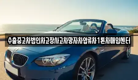 대구광역시 달서구 감삼동 중고차매입 전문 수출중고차법인차고장사고차망자차압류차1톤차매입센터