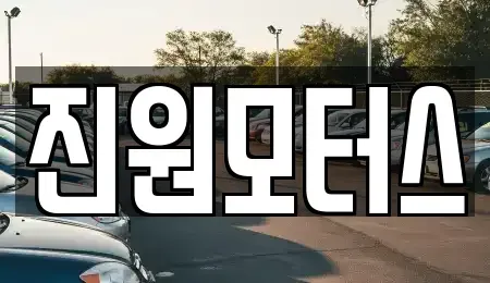 대구광역시 북구 금호동 중고차 전문 진원모터스
